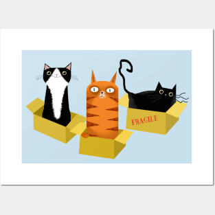 Cats in Boxes Posters and Art